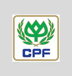 CPF (INDIA) PRIVATE LIMITED