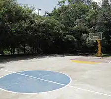 Basket Bal Court